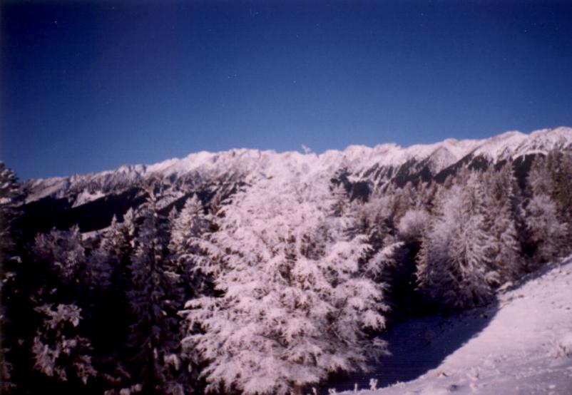 Image 9 of 25  -  174 kB